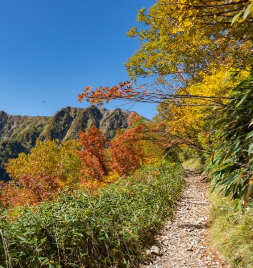 Best Fall Foliage Hikes in Japan - Jigatake Fall Hike