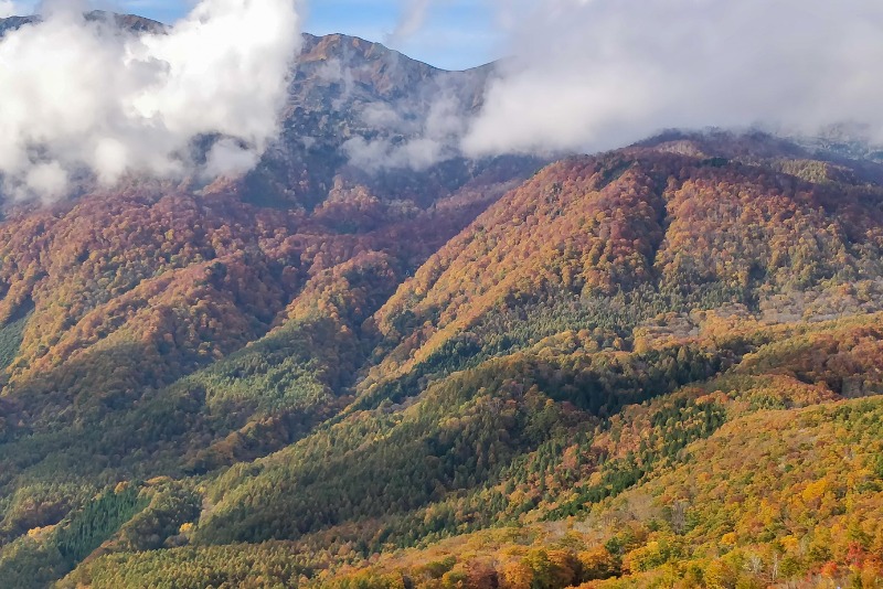 Best Japan Fall Foliage Spots - Hakuba