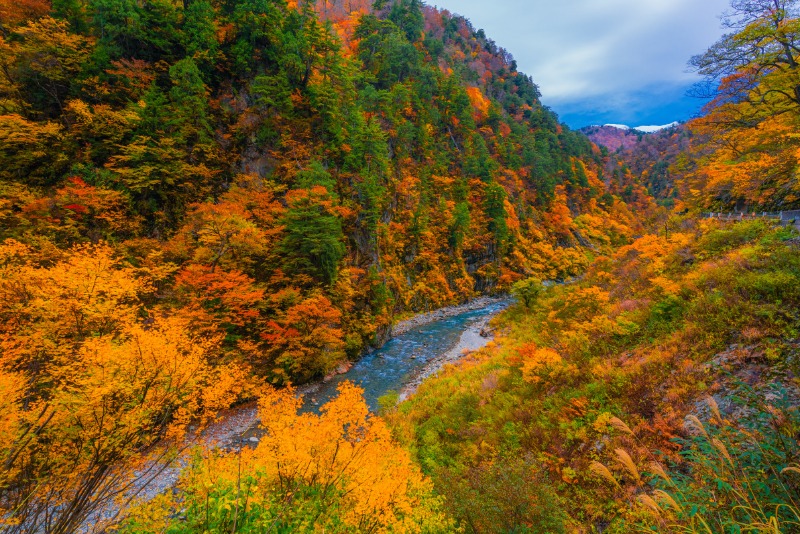 Best Japan Fall Foliage Spots - Kurobe Gorge
