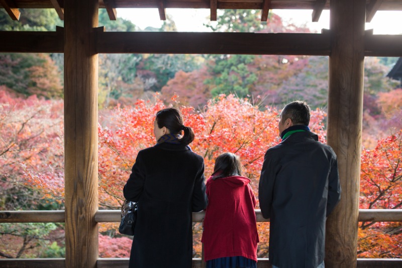 Best Japan Fall Foliage Spots - Tofukuji Temple