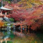 Experience Japan in Autumn – The Ultimate Guide