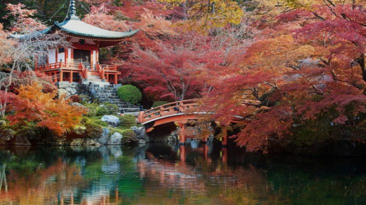 Experience Japan in Autumn – The Ultimate Guide