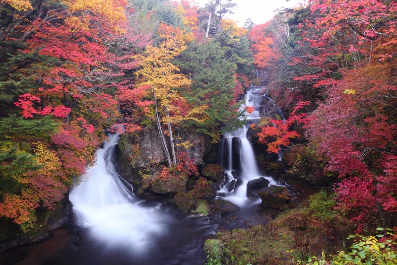 Experience Japan in Autumn - Nikko