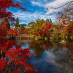 Japan Autumn Leaves Forecast 2024