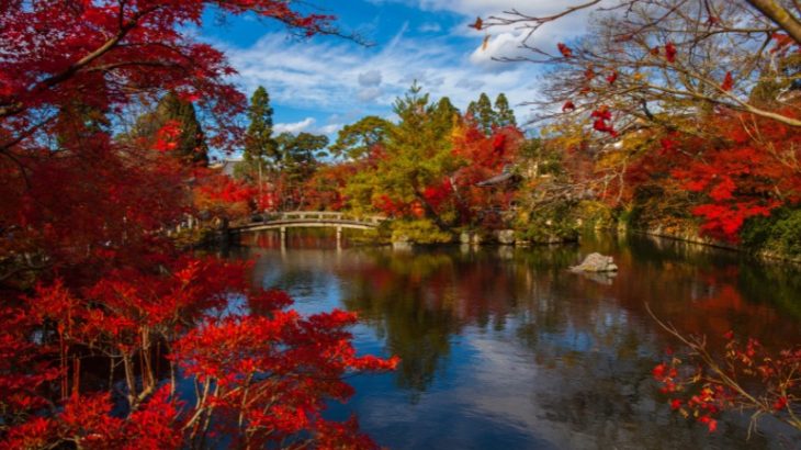 Japan Autumn Leaves Forecast 2024