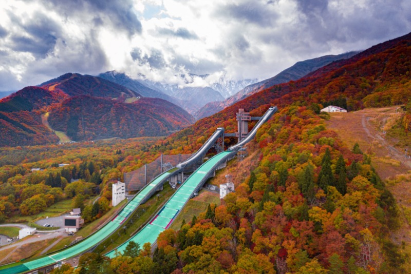 Japan Autumn Leaves Forecast 2024 - Hakuba